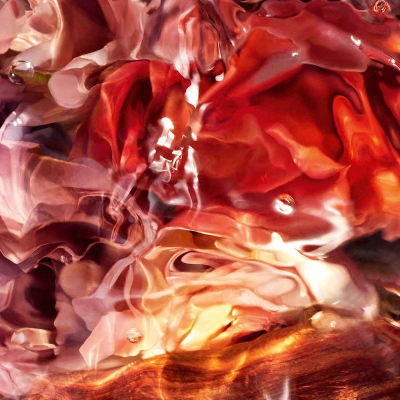 Aqua Allegoria Forte Rosa Palissandro Refill EDP