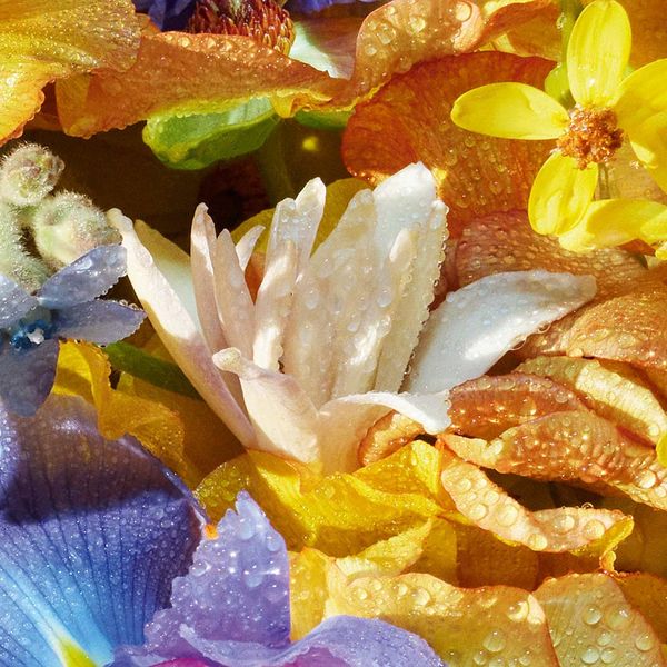 Aqua Allegoria Florabloom EDT