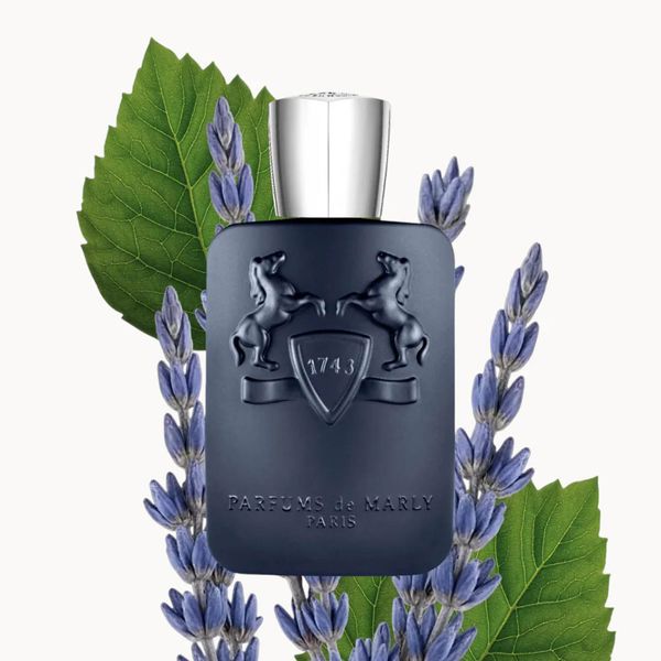 Layton EDP